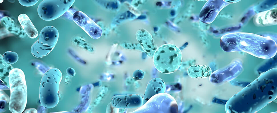 Germ & Bacteria