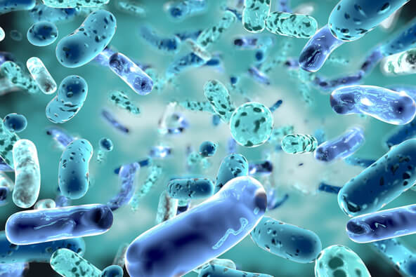 Germs & Bacteria